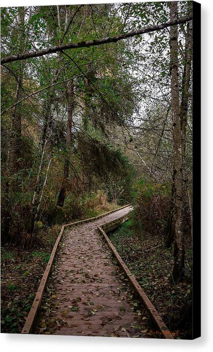 Autumn walk  - Canvas Print