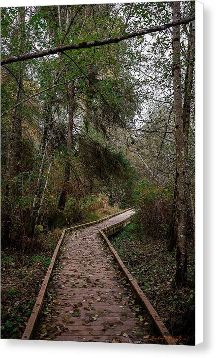 Autumn walk  - Canvas Print