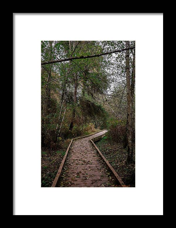 Autumn walk  - Framed Print