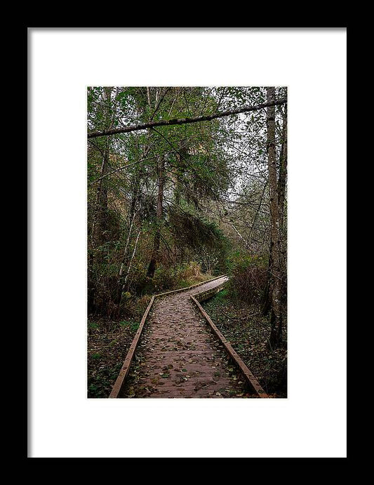 Autumn walk  - Framed Print