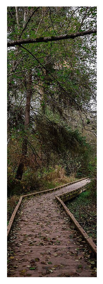 Autumn walk  - Yoga Mat
