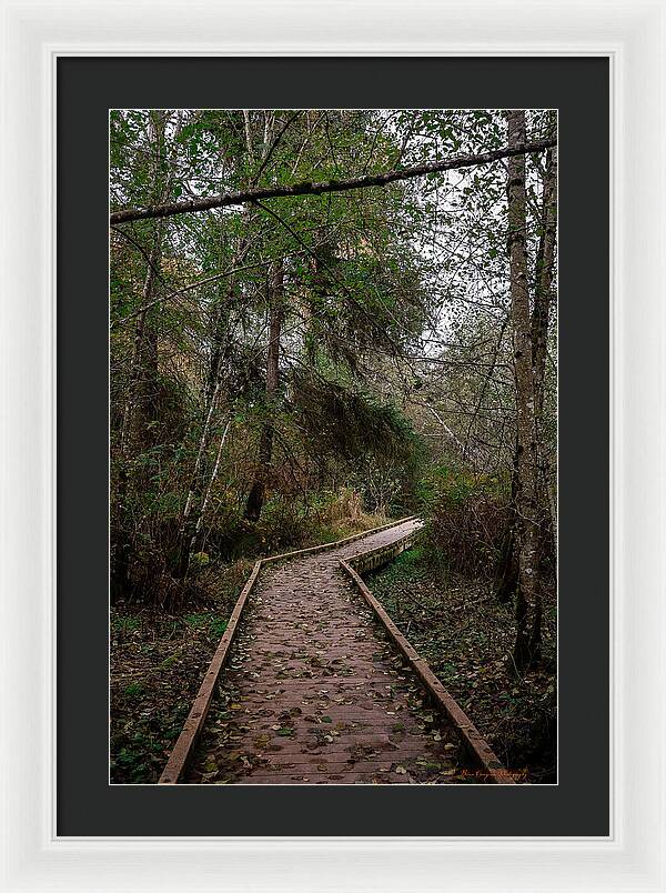 Autumn walk  - Framed Print