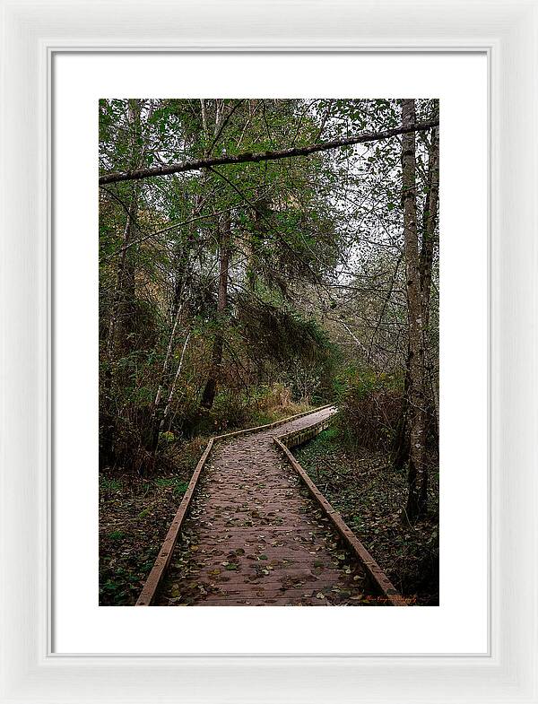 Autumn walk  - Framed Print