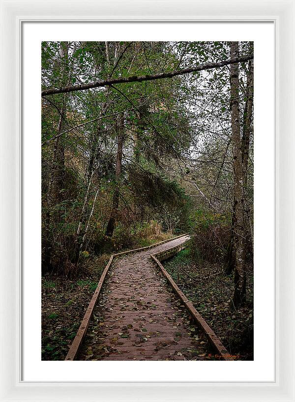 Autumn walk  - Framed Print