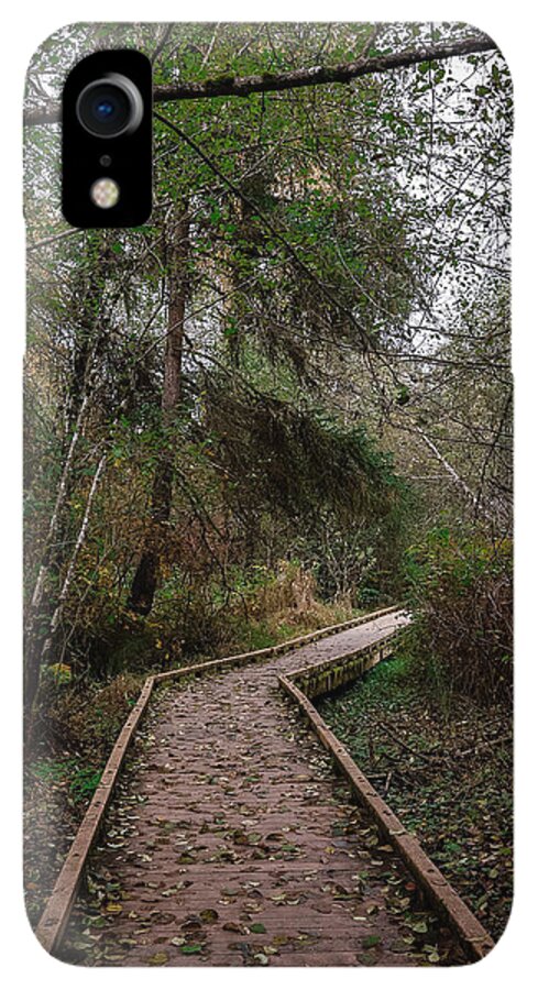 Autumn walk  - Phone Case