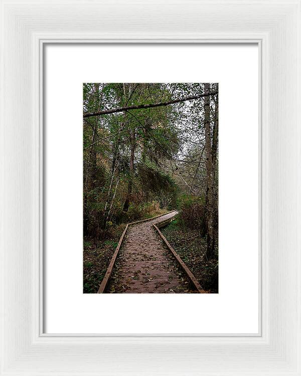 Autumn walk  - Framed Print