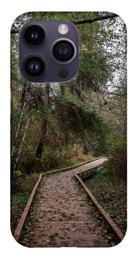 Autumn walk  - Phone Case