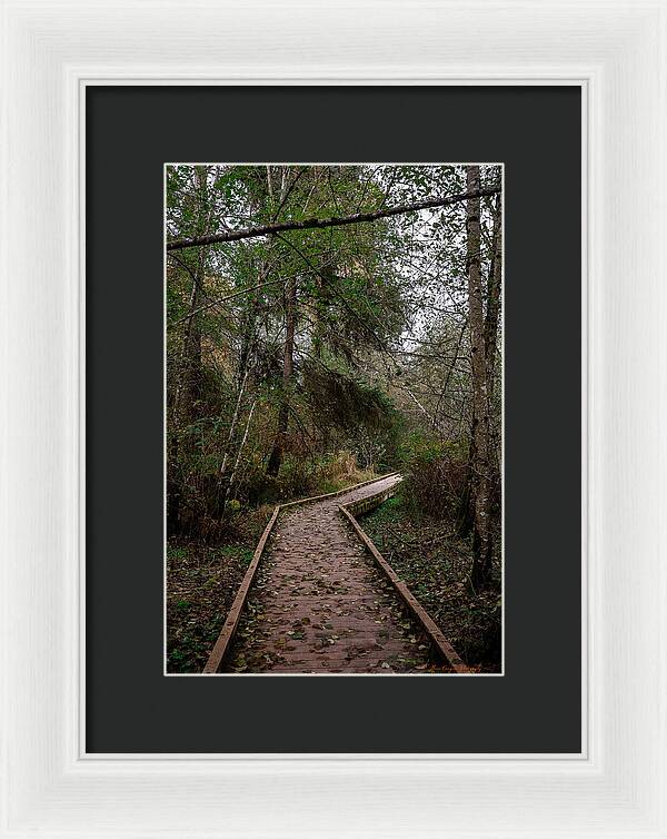 Autumn walk  - Framed Print