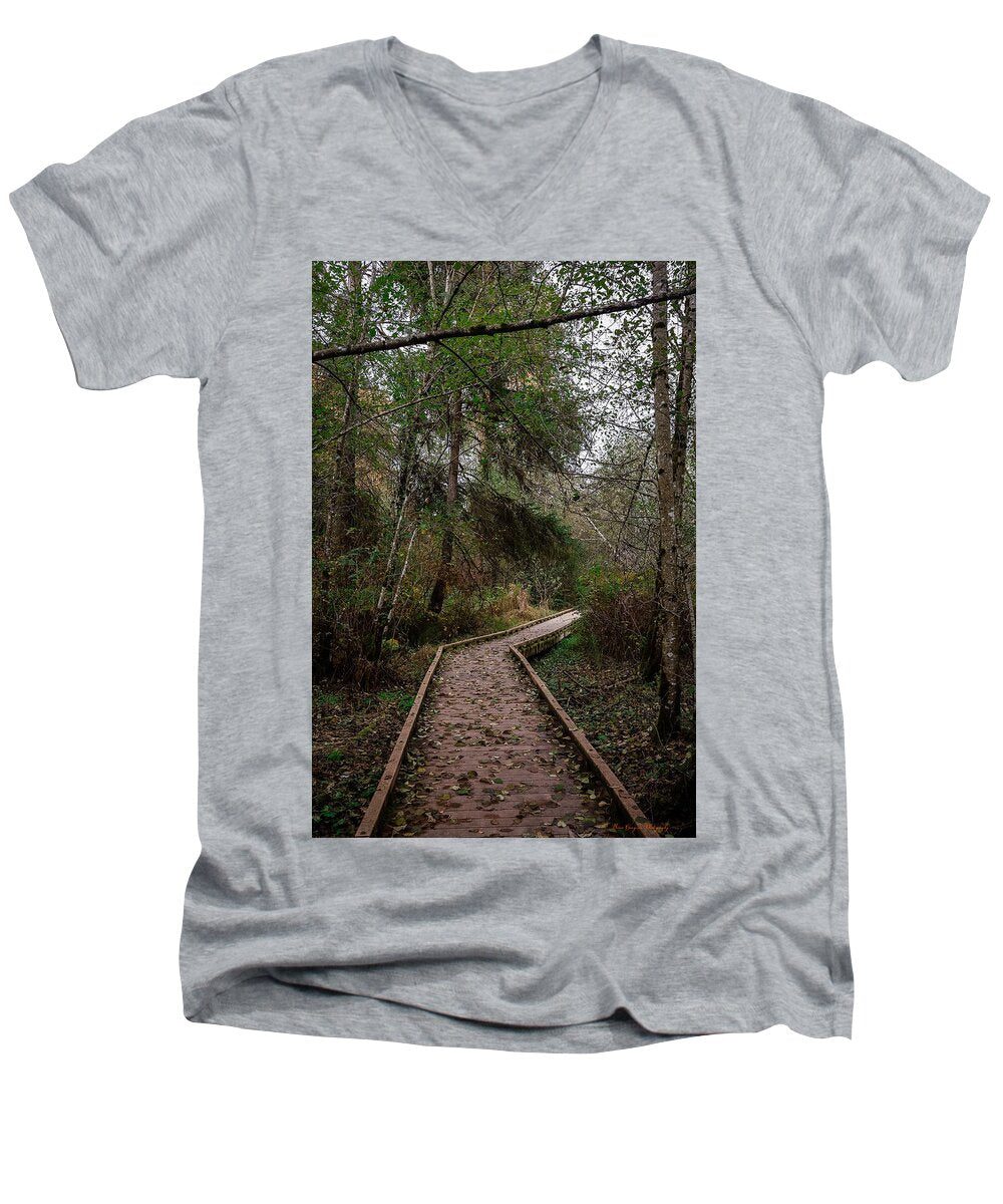 Autumn walk  - Men's V-Neck T-Shirt