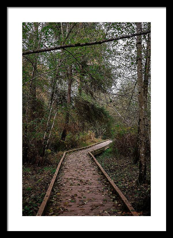 Autumn walk  - Framed Print