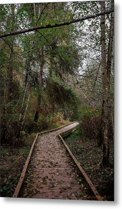Autumn walk  - Metal Print