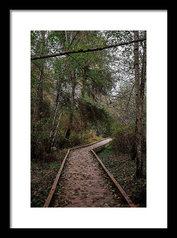 Autumn walk  - Framed Print