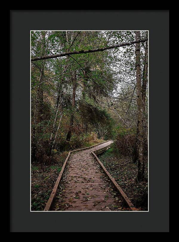 Autumn walk  - Framed Print