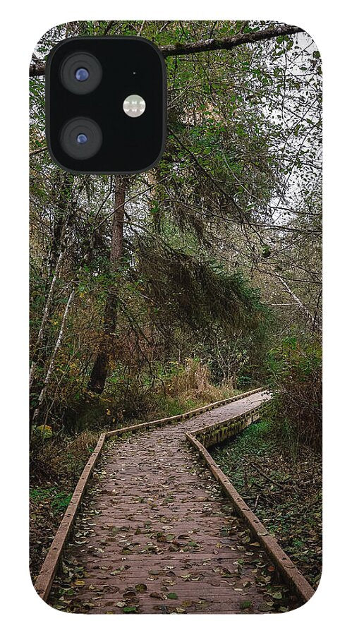 Autumn walk  - Phone Case