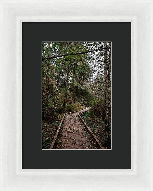 Autumn walk  - Framed Print