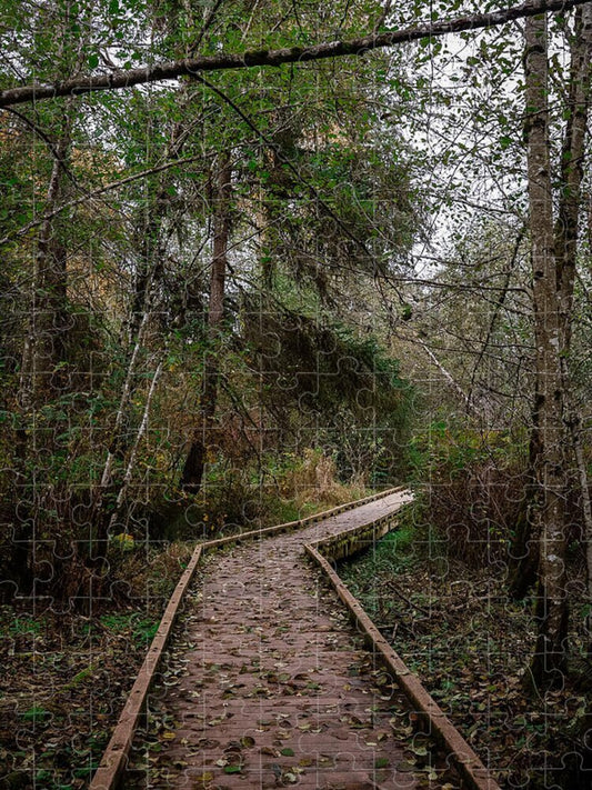 Autumn walk  - Puzzle