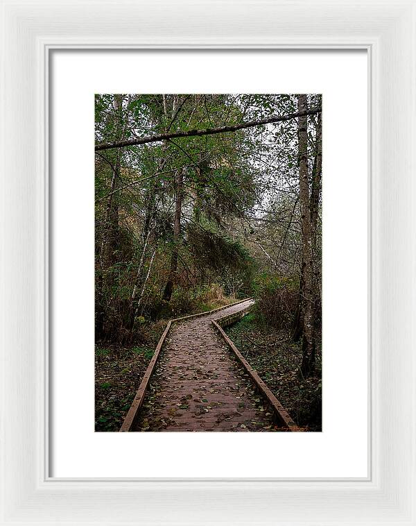 Autumn walk  - Framed Print
