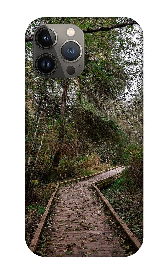 Autumn walk  - Phone Case