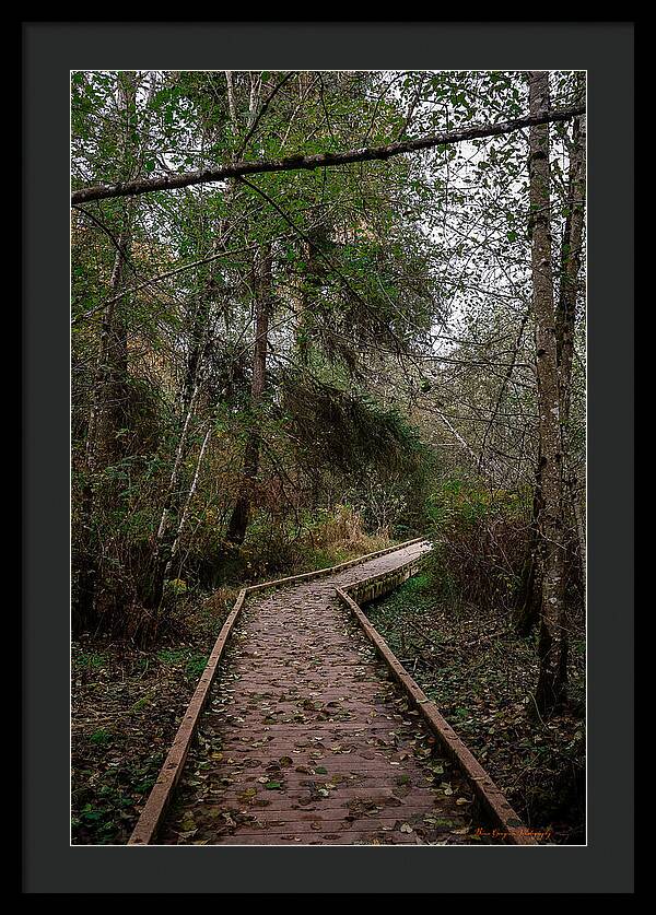 Autumn walk  - Framed Print