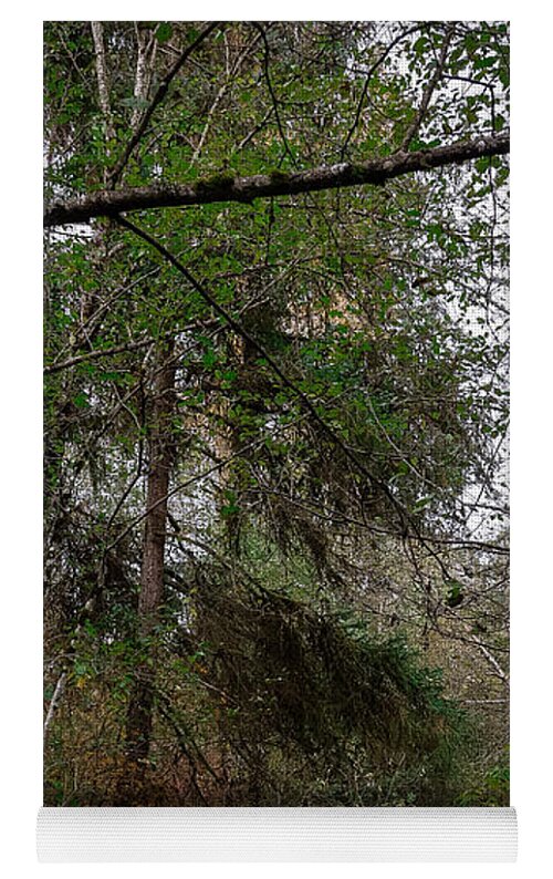 Autumn walk  - Yoga Mat