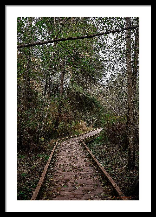 Autumn walk  - Framed Print