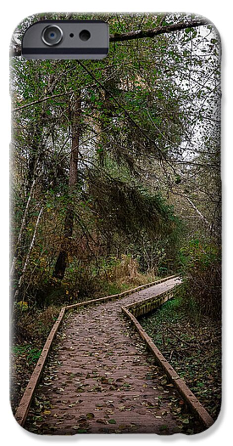 Autumn walk  - Phone Case