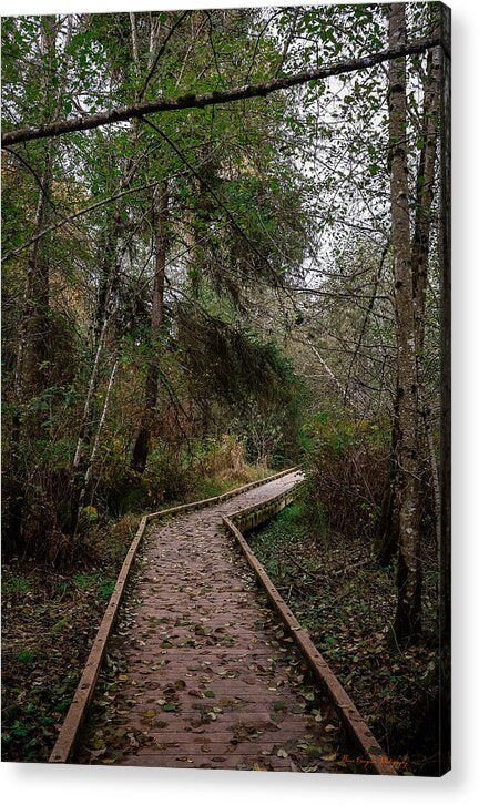Autumn walk  - Acrylic Print