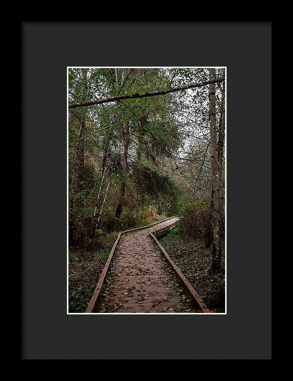 Autumn walk  - Framed Print