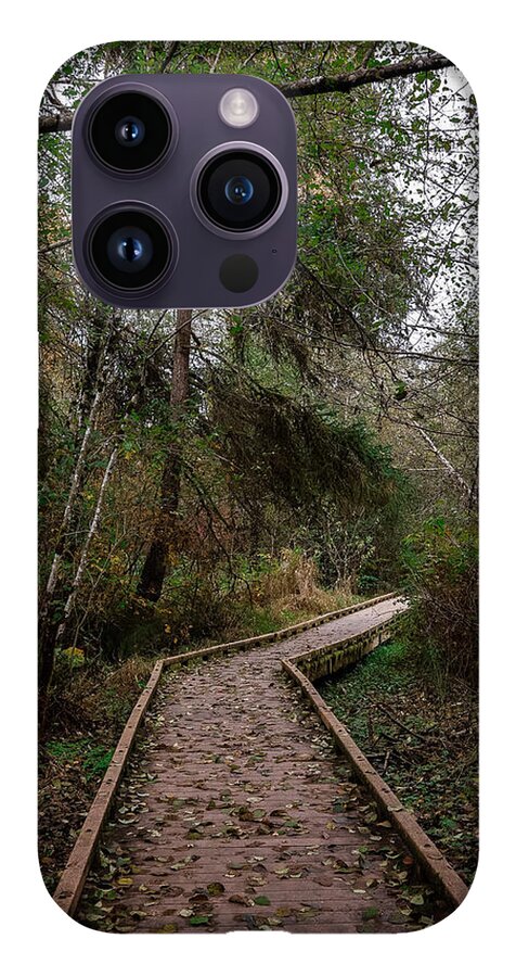 Autumn walk  - Phone Case