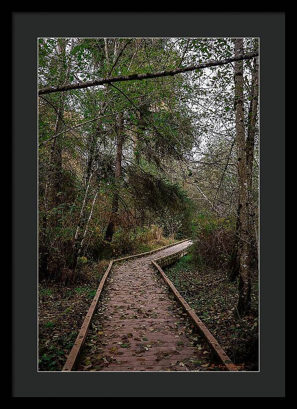 Autumn walk  - Framed Print