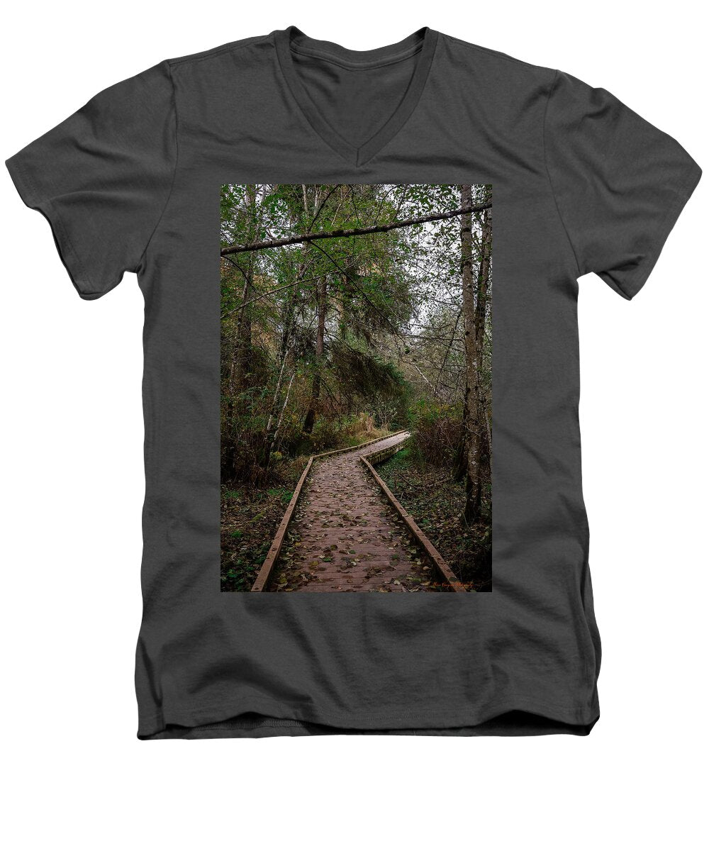 Autumn walk  - Men's V-Neck T-Shirt