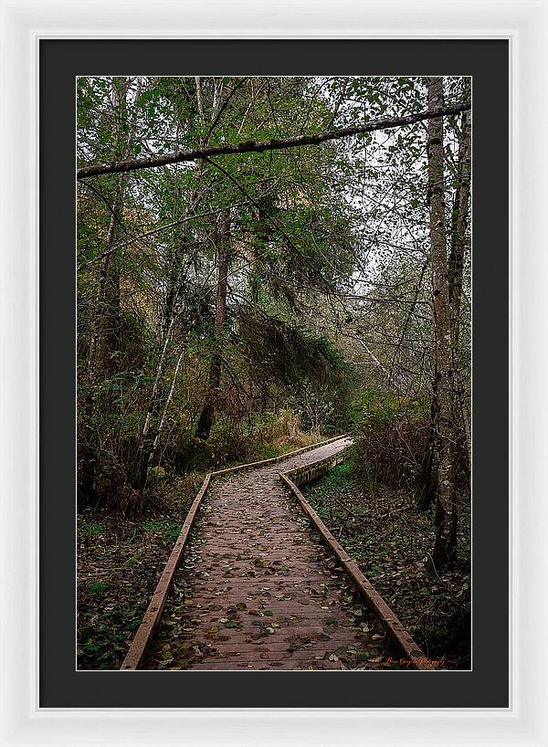 Autumn walk  - Framed Print