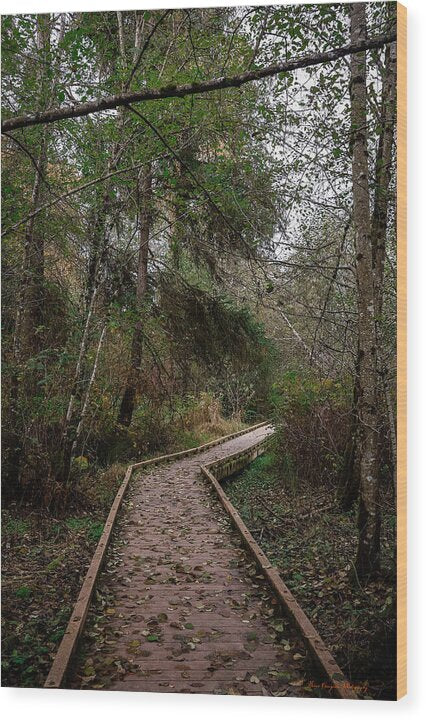 Autumn walk  - Wood Print
