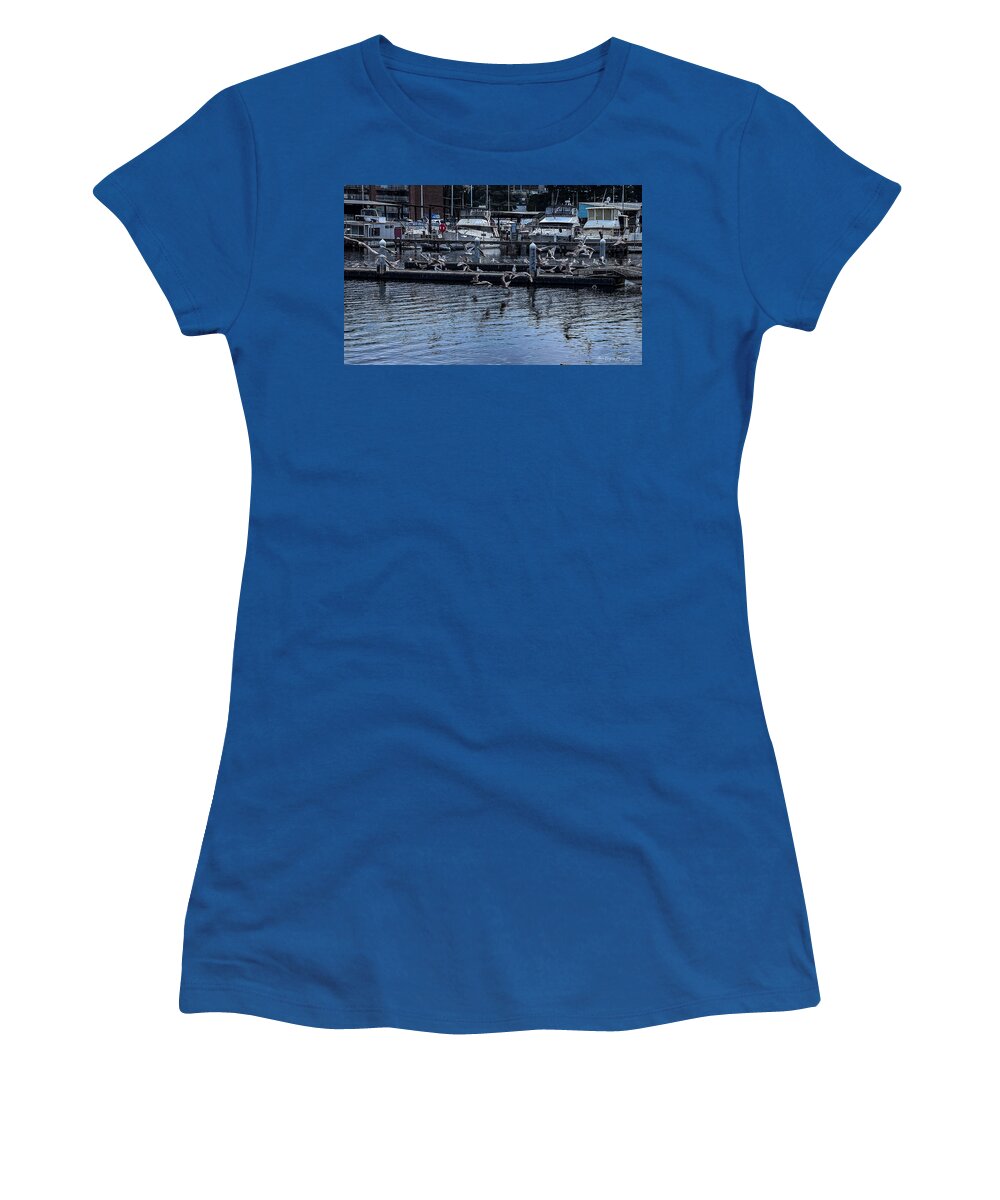 Birds at the Dock - Women's T-Shirt