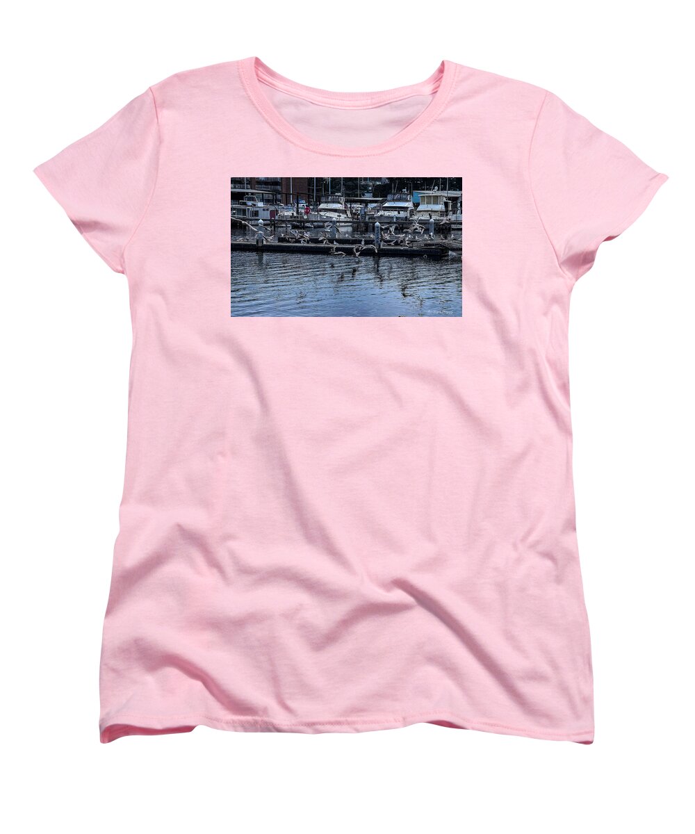 Birds at the Dock - Women's T-Shirt (Standard Fit)