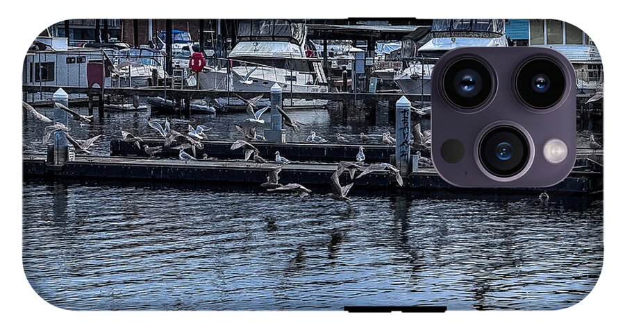 Birds at the Dock - Phone Case