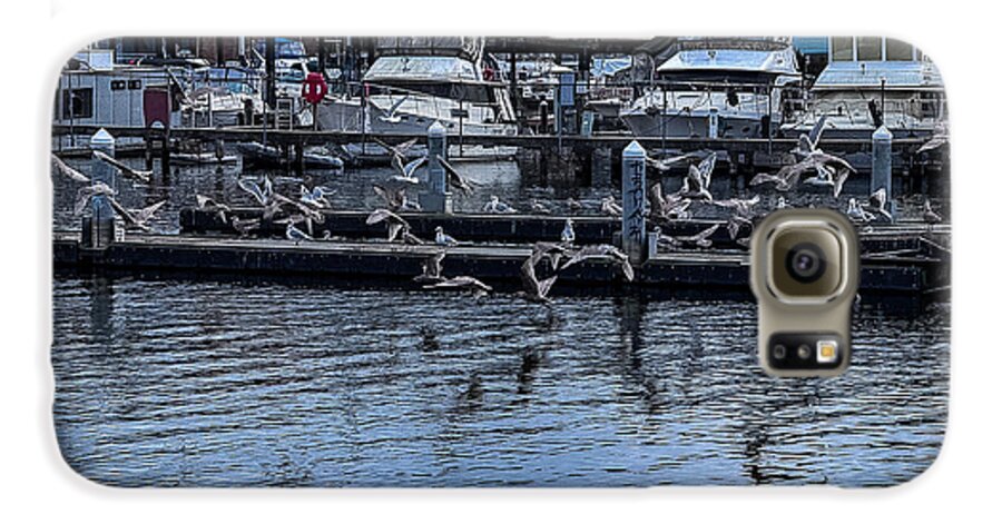 Birds at the Dock - Phone Case