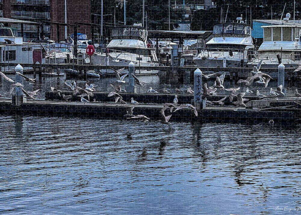 Birds at the Dock - Puzzle