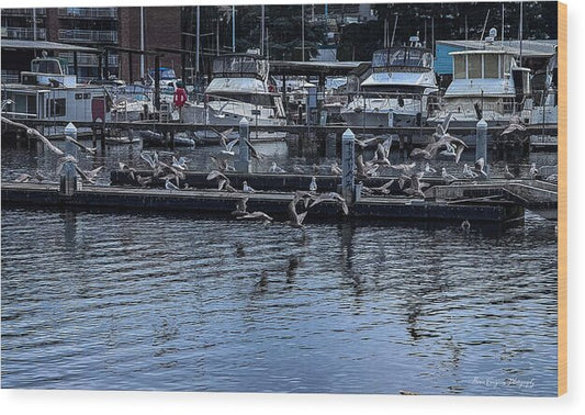 Birds at the Dock - Wood Print