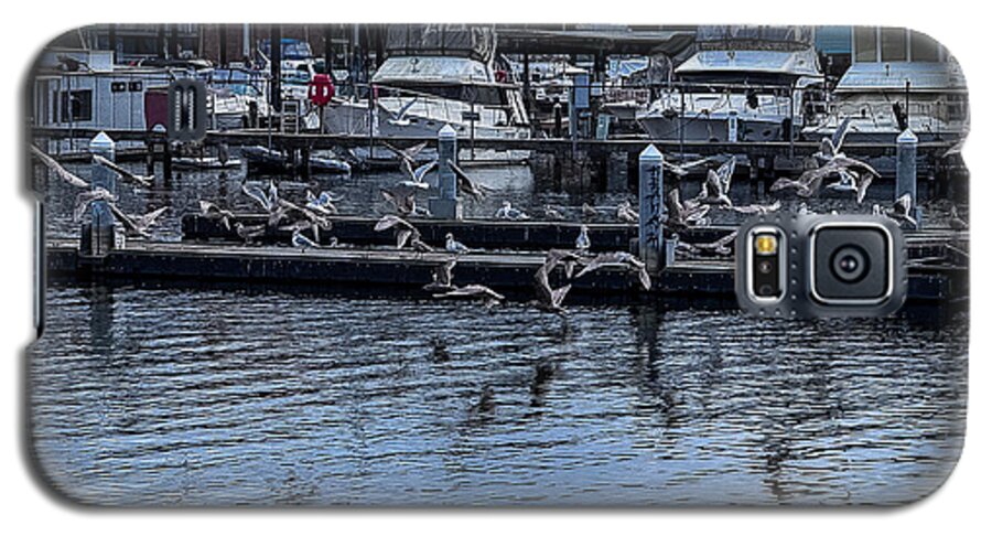 Birds at the Dock - Phone Case