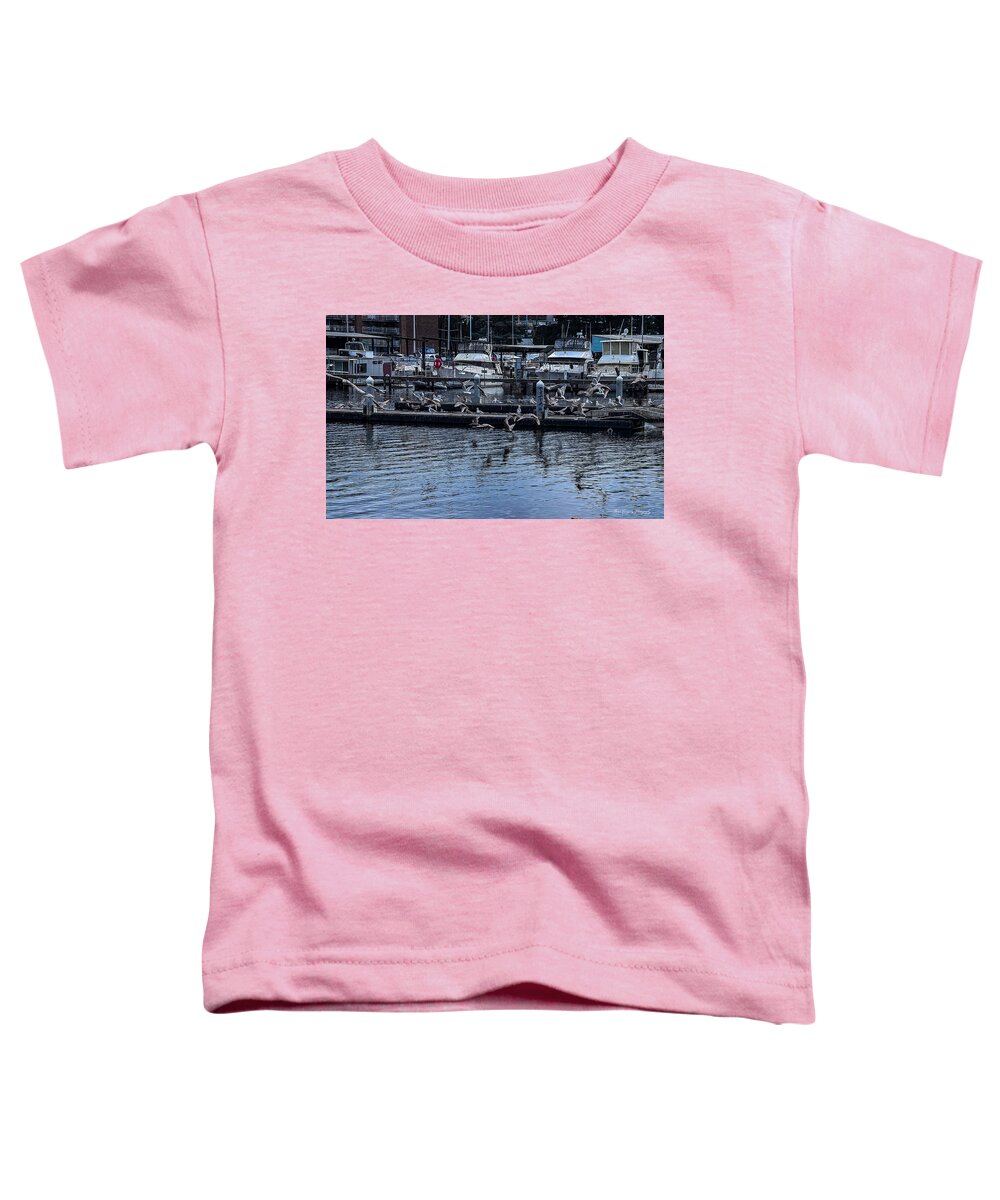 Birds at the Dock - Toddler T-Shirt