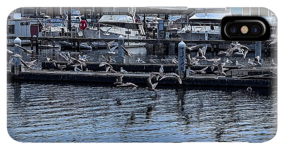 Birds at the Dock - Phone Case