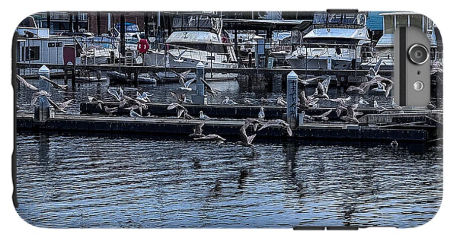 Birds at the Dock - Phone Case