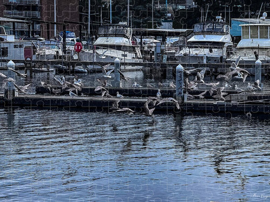 Birds at the Dock - Puzzle