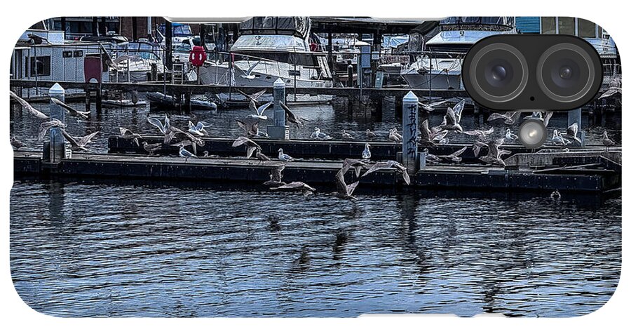 Birds at the Dock - Phone Case
