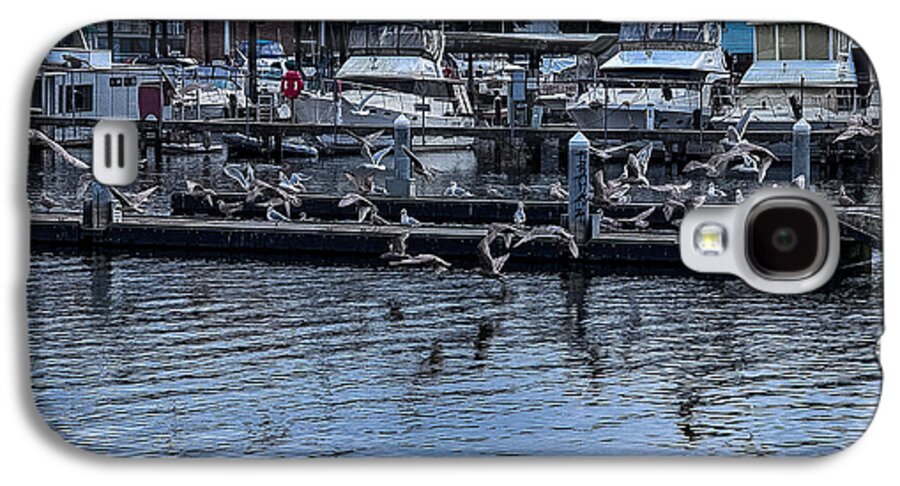 Birds at the Dock - Phone Case
