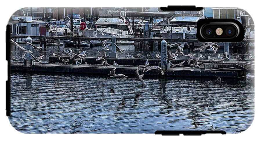 Birds at the Dock - Phone Case