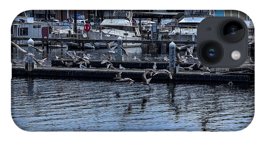 Birds at the Dock - Phone Case