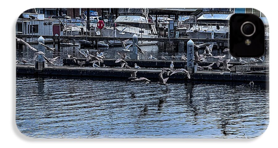 Birds at the Dock - Phone Case