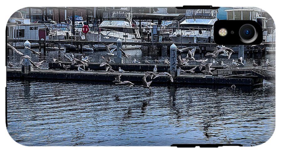 Birds at the Dock - Phone Case